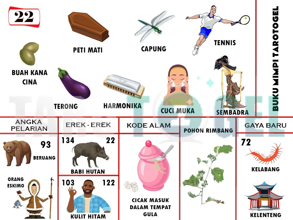 buku mimpi erek erek togel 22