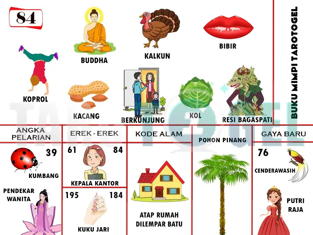 buku mimpi erek erek togel 84